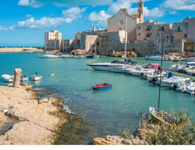 Piazza Duomo - Medieval Puglia'S House Giovinazzo Eksteriør bilde